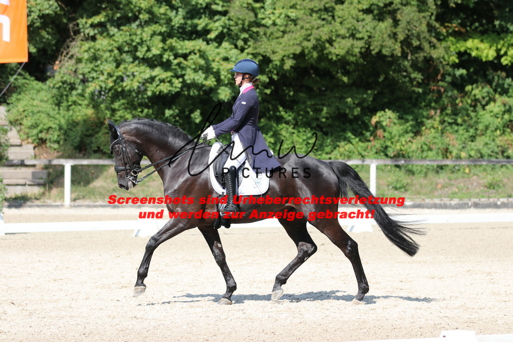 IMG_9444 | lmwpictures - Realisiert mit Pictrs.com