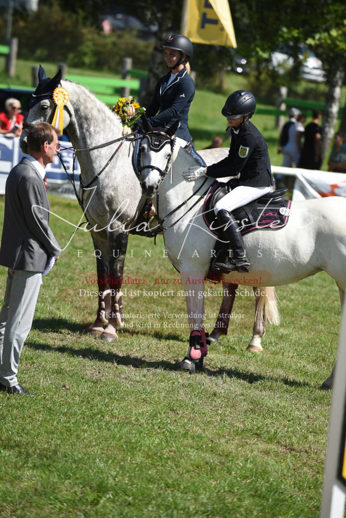 DSC_9643 | Pferde- und Turnierfotografie in Westsachsen. Pferdeportraits, Auftragszeichnungen und intuitive Kunst.