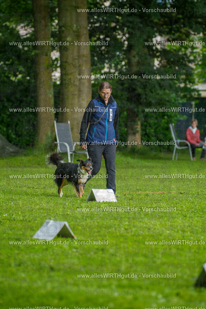 @allesWIRTHgut_Tierfotografie - www.allesWIRTHgut.de - 7R502288 | Professionelle Tierfotografie in Mönchengladbach von Daniel Wirth (allesWIRTHgut). Liebevolle & natürliche Bilder von Hunden & Katzen für unvergessliche Erinnerungen.