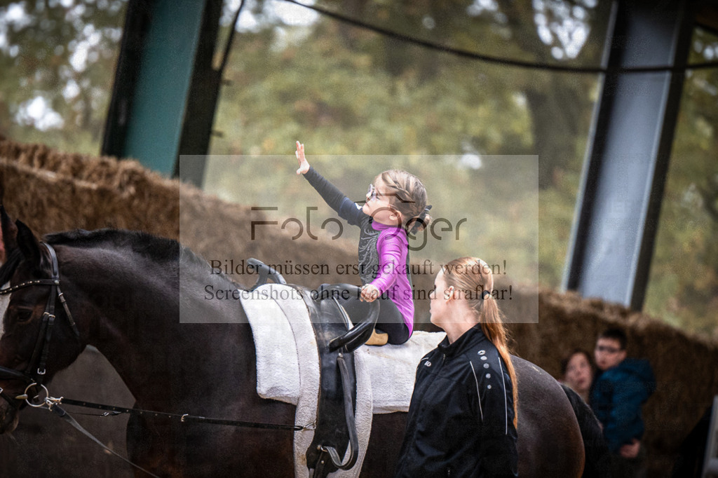 DOS_0209 | Entdecke hochwertige Reitturnierfotos von Foto Oger. Professionell, emotional und authentisch – jetzt Lieblingsmomente im Shop bestellen.Deutschlandweite Turnierfotografie. - Realisiert mit Pictrs.com