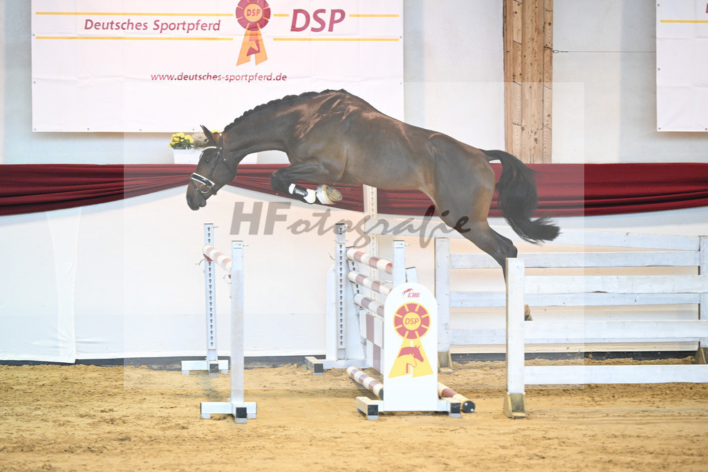 Kat-Nr. 63 v. Quineiro_Schuster_66221470 | hf-fotografie - Realisiert mit Pictrs.com