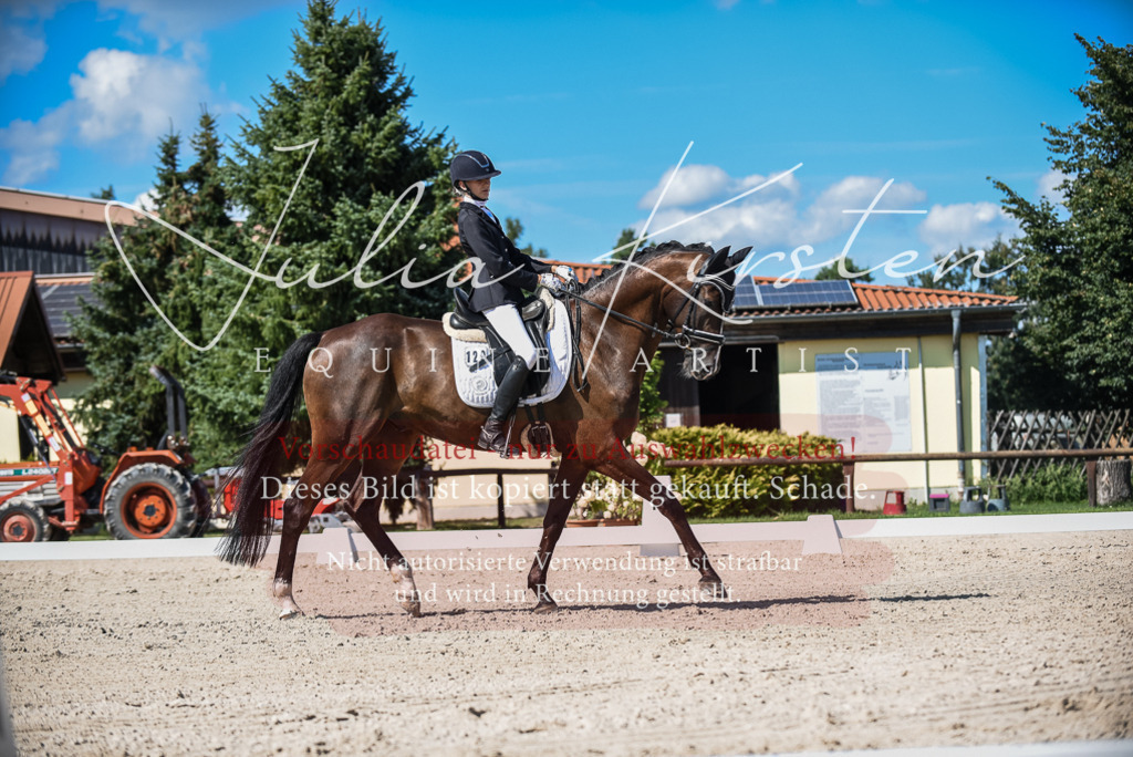 DSC_9588 | Pferde- und Turnierfotografie in Westsachsen. Pferdeportraits, Auftragszeichnungen und intuitive Kunst.