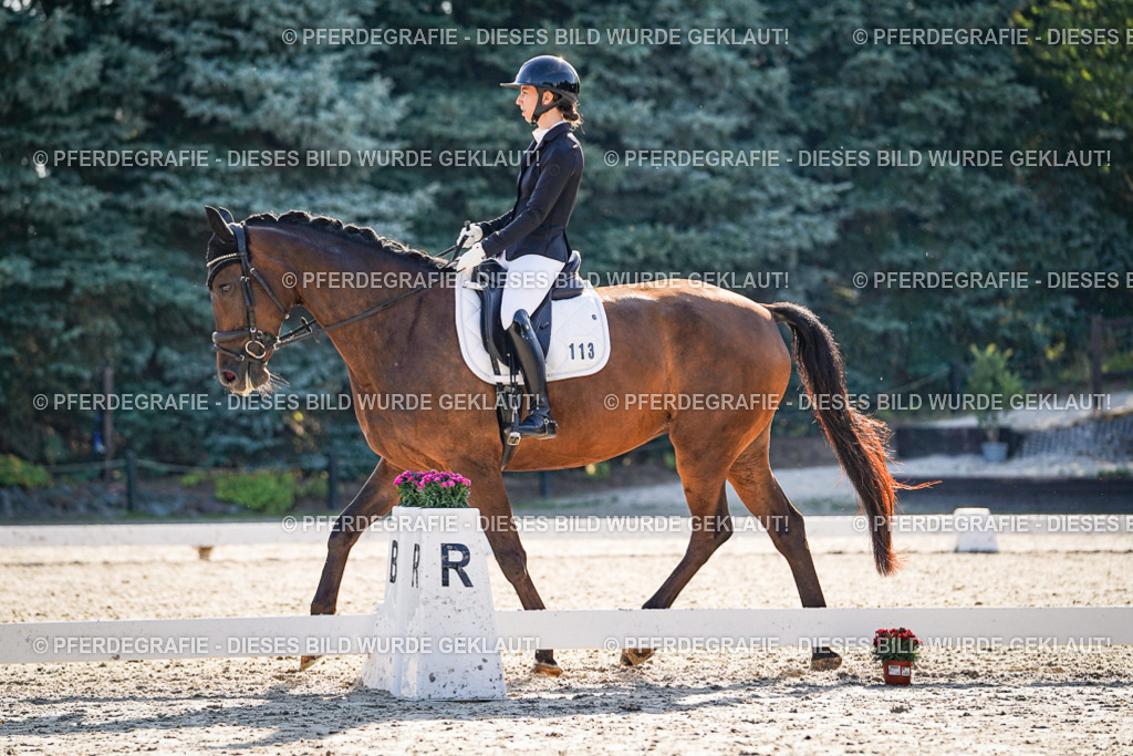 DSC09309 | Pferdegrafie