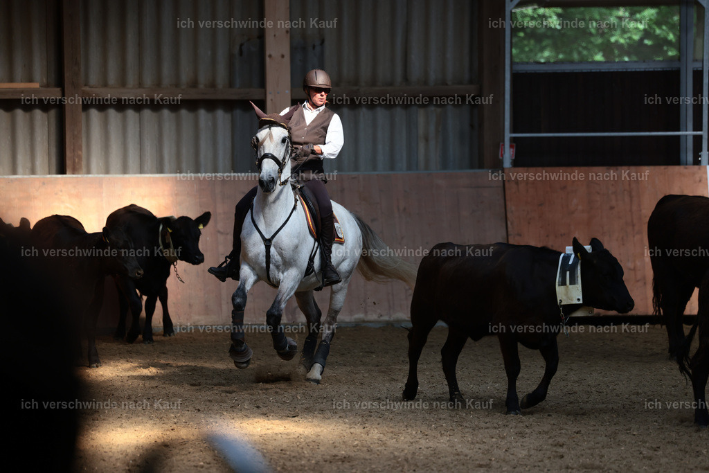 Masterclass_stoibphotography_C2_L7137.JPG | working equitationturnier fotograf videograf stoibphotography marixx film working equitation deutschland reitsport turnierfotografie eventfotografie equestrian events