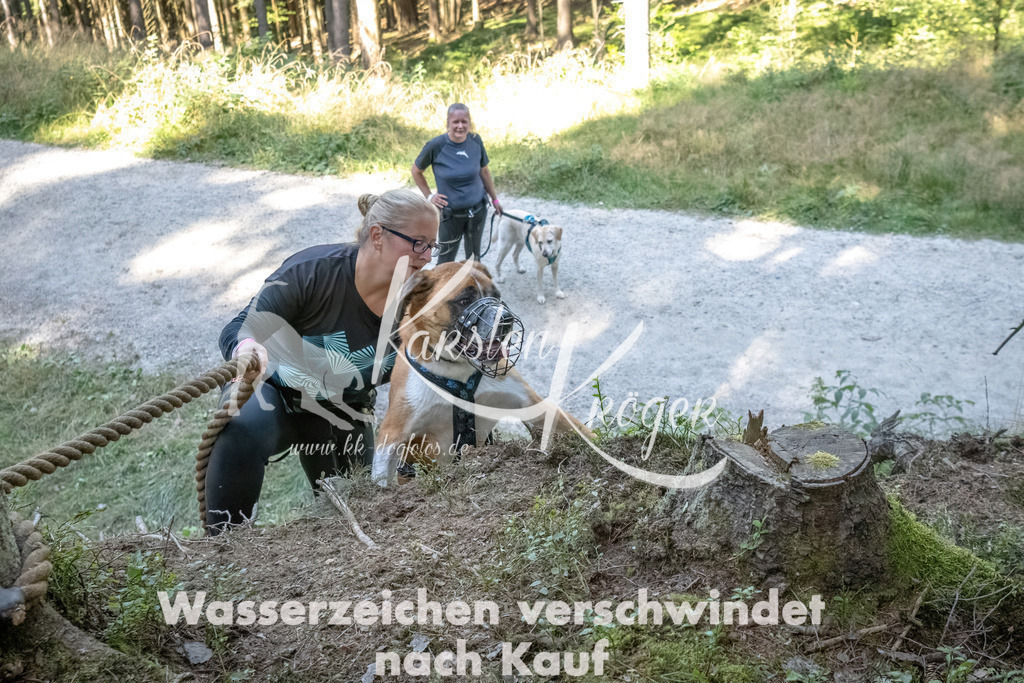 1201_ZZ93024 | kk-dogfotos