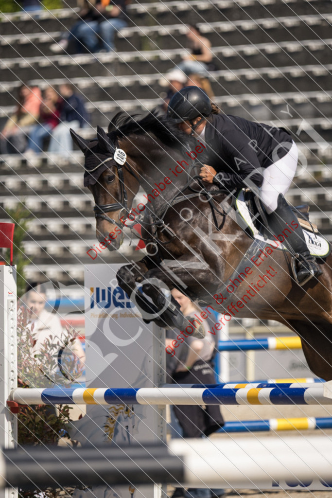 IMG_4153 | Sport-, Event- und Tierfotos in Profiqualität. Einfach auswählen, bestellen und herunterladen. Dein Moment – perfekt festgehalten.