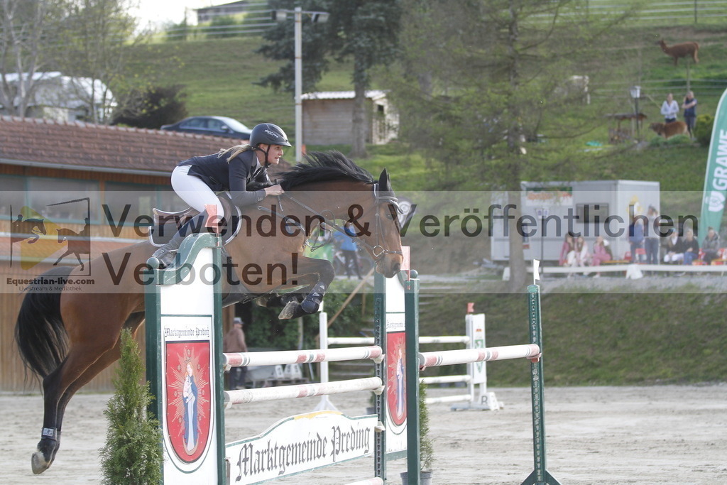 _MG_1476 | equestrian-live-com