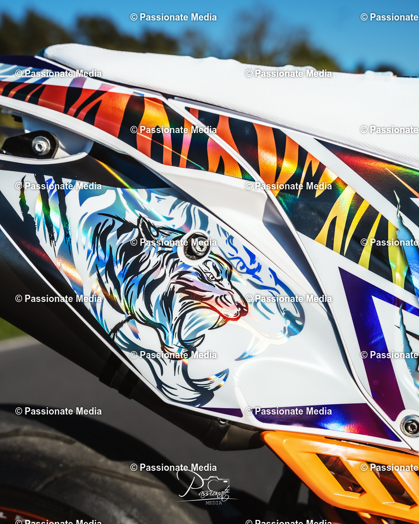 DSC08235 | Passionate Media, dein Fotograf aus Brandenburg, Märkisch Oderland, im Bereich Motorsport, Autos und Motorräder sowie Events und auch Hunde. Shootings oder auch Eventbegleitungen können bei mir gebucht we