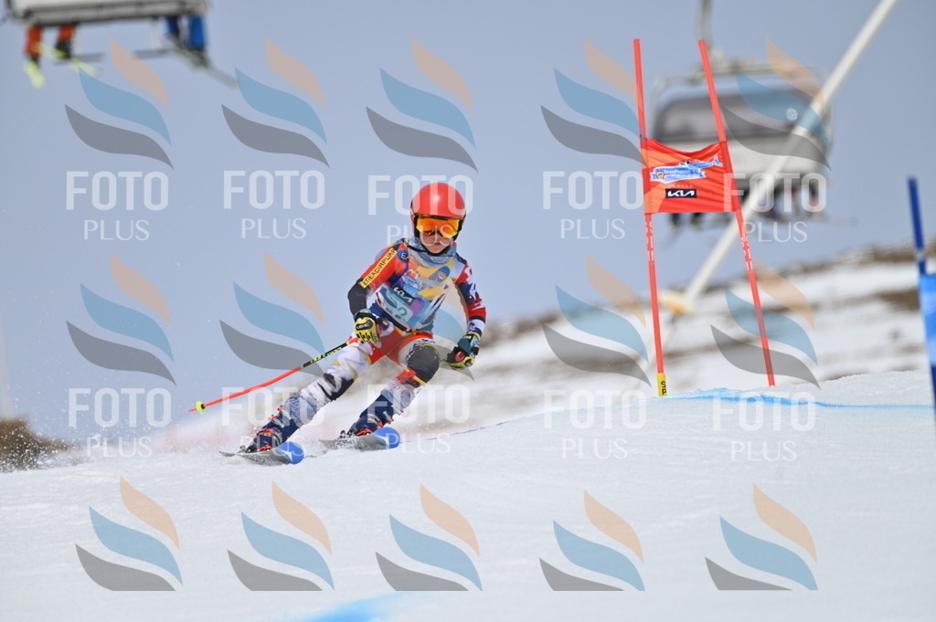 BGV_3694 | holidayphoto