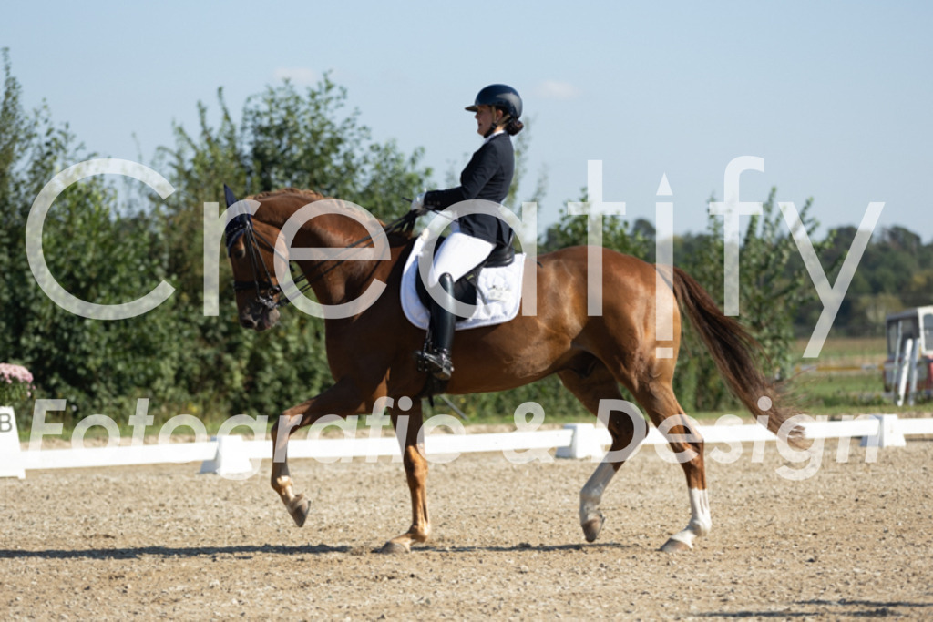 IMG_0494 | Creatify Fotografie