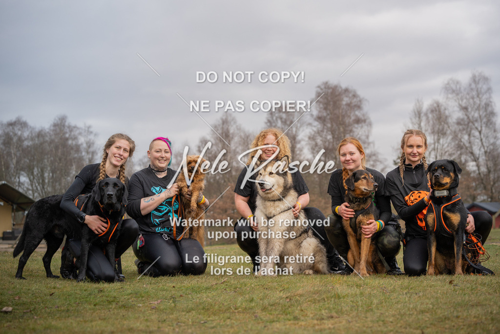 nelerasche_1330-1400_127 | nelerasche