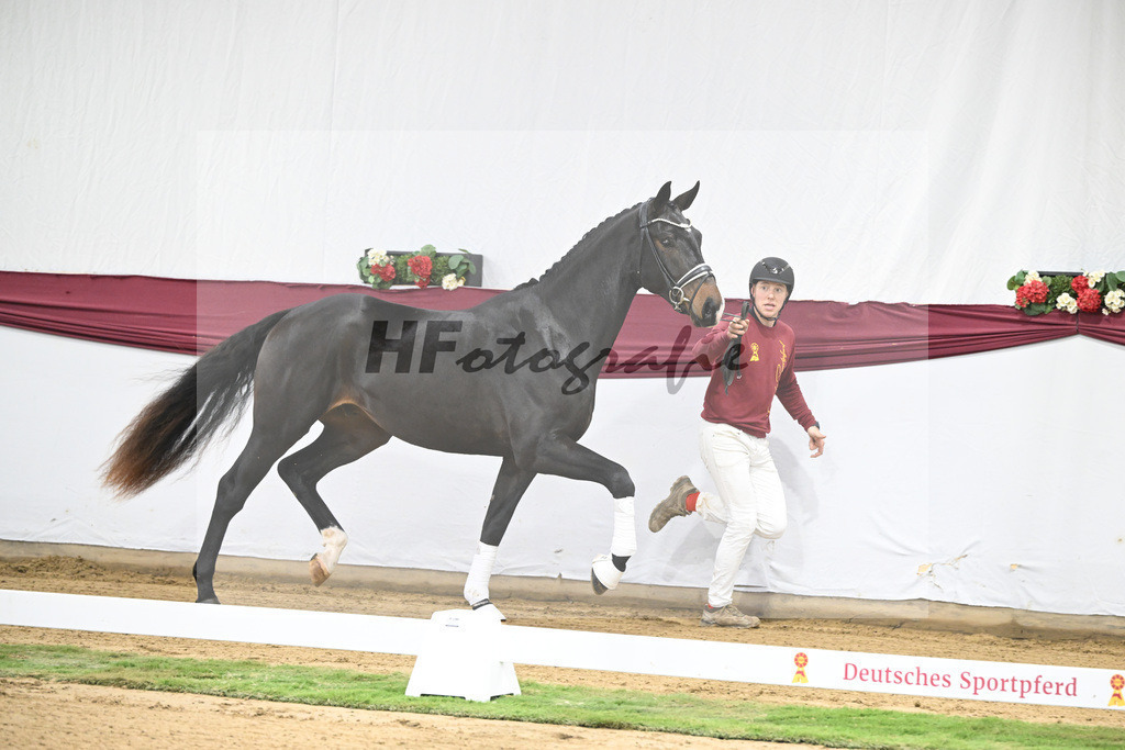 Kat-Nr. 31 In My Mind x Fidertanz_Uwe Kraft_47251034 | hf-fotografie - Realisiert mit Pictrs.com