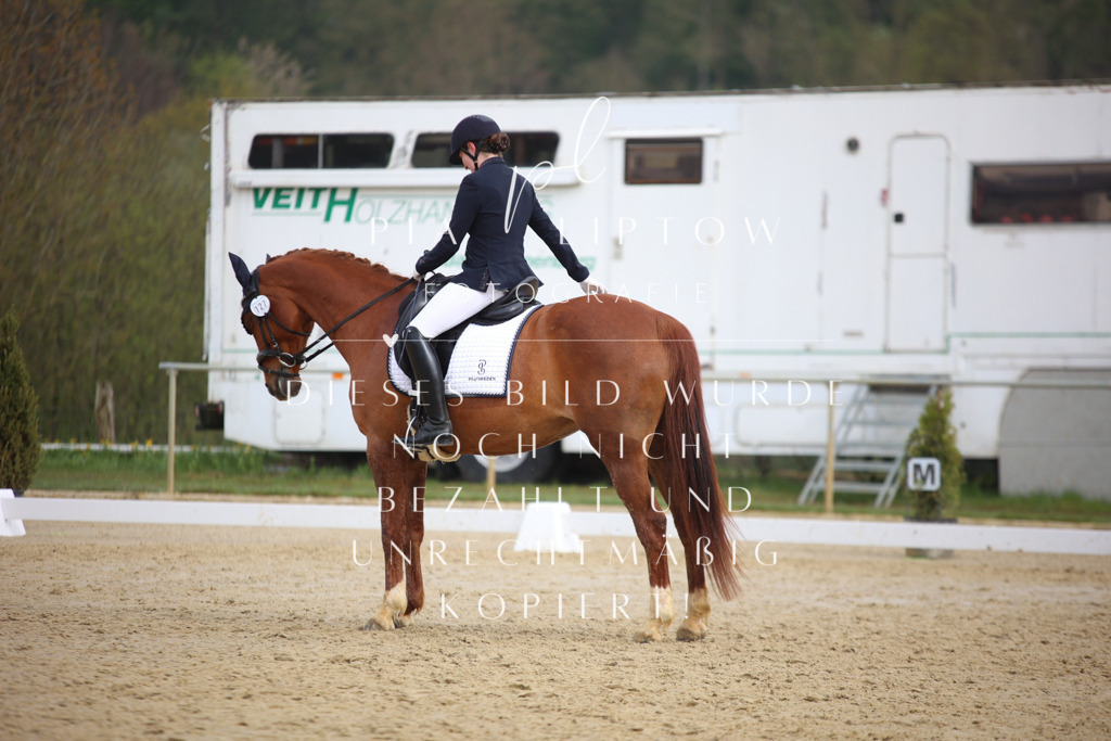 IMGT6832 | pl-fotografie