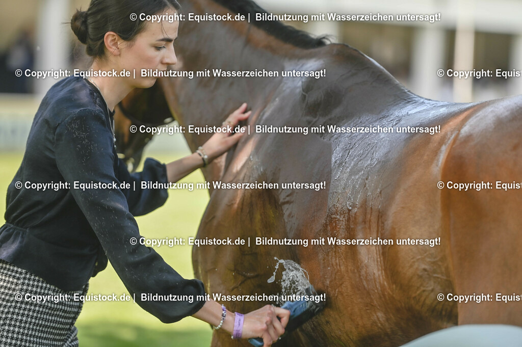 20230527_27_CCI4_Gelände_0288 | equistock