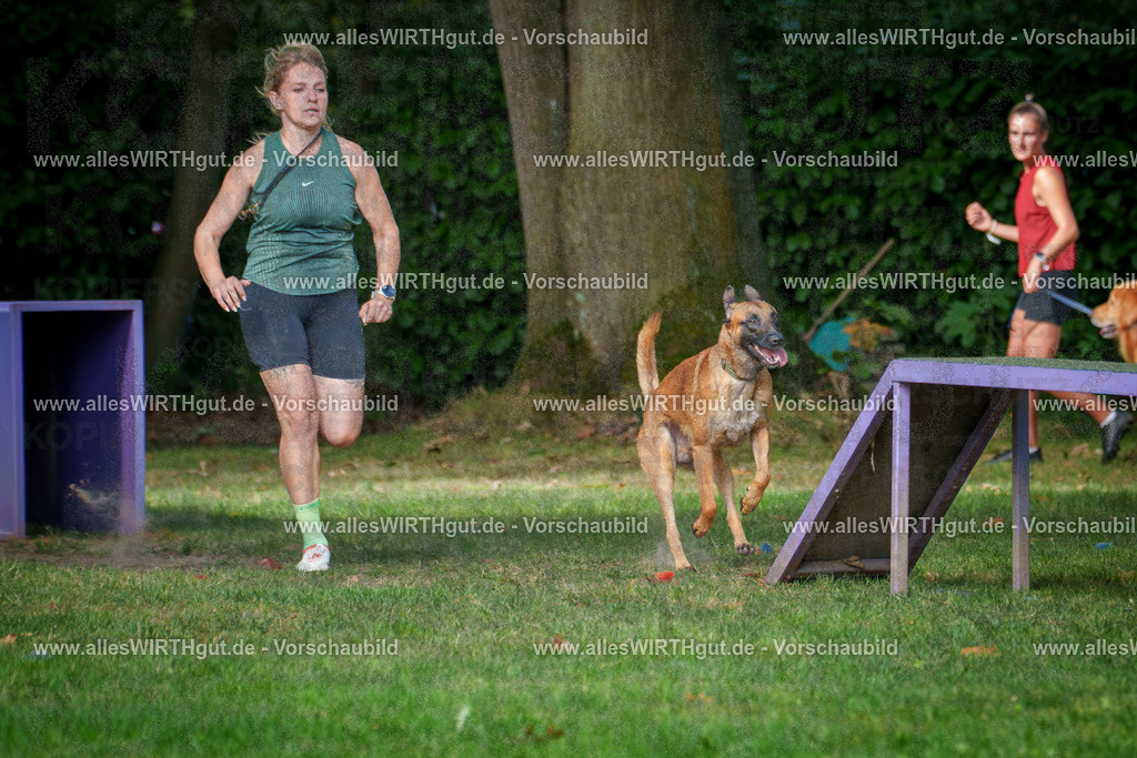 THS_Turnier_27-09-2026-allesWIRTHgut_Tierfotografie-7R507098 | Professionelle Tierfotografie in Mönchengladbach von Daniel Wirth (allesWIRTHgut). Liebevolle & natürliche Bilder von Hunden & Katzen für unvergessliche Erinnerungen.