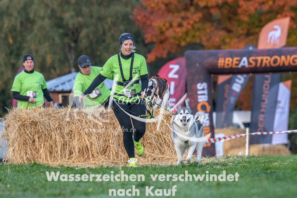 0825_ZZ90502-Bearbeitet | kk-dogfotos