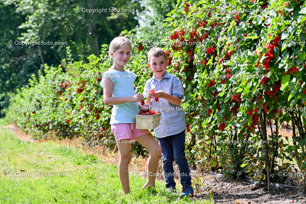 Erdbeeren_ Himbeeren_ Ribisel_ Mayer_ 20.06.2023-18 | 20.06.2023, Raffelding, AUT, Erdbeeren, Himbeeren, Ribisel, Mayer, im Bild Leonora und Maximilian im Ribiselgarten