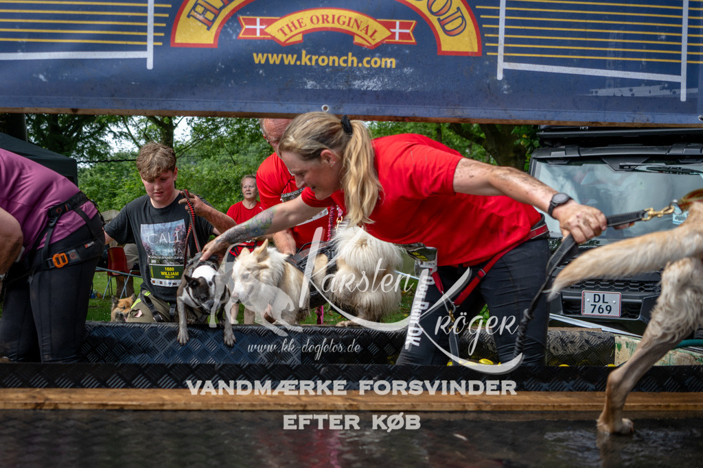 1113_ZZ93145 | kk-dogfotos