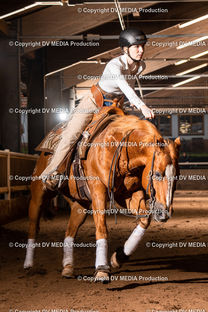 Erbach Tag 3-839 | dv-media-shop - Realisiert mit Pictrs.com