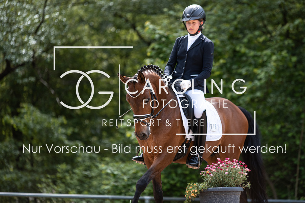 DSC_9523 | Turnierfotografin Carolin Gieschke, Turnierfotografie Carolin G Fotografie, Turnierfotos Kirchheim/Teck, Esslingen, Stuttgart, Bodenseekreis