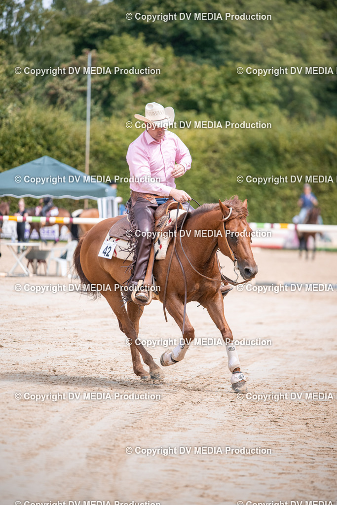 ZS3_5280 | dv-media-shop - Realisiert mit Pictrs.com