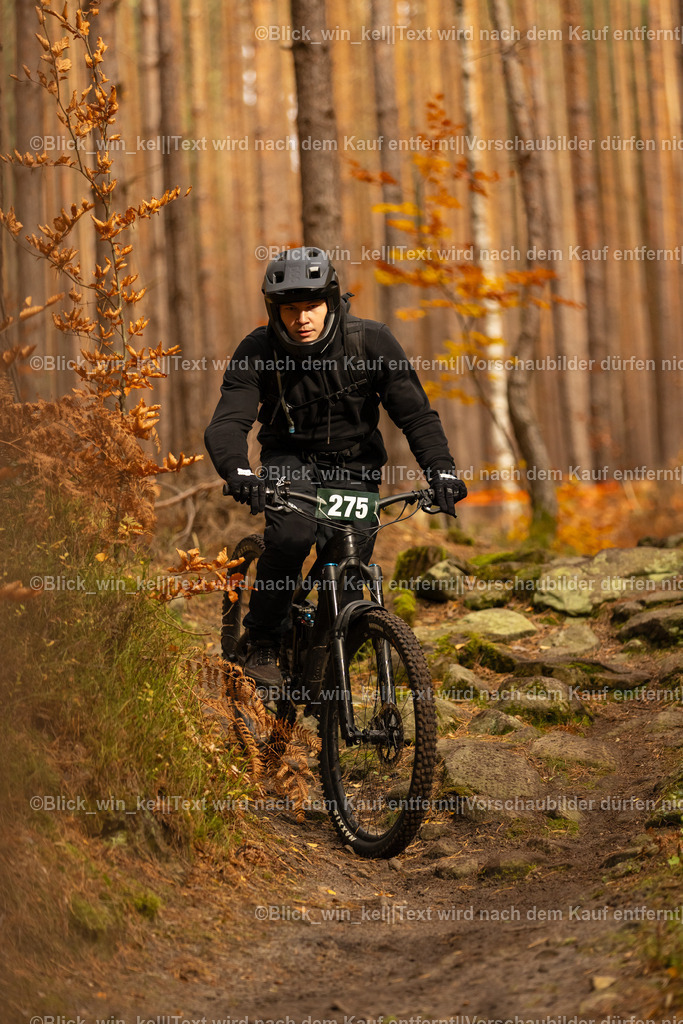 E68A2823 | blick_win_kel