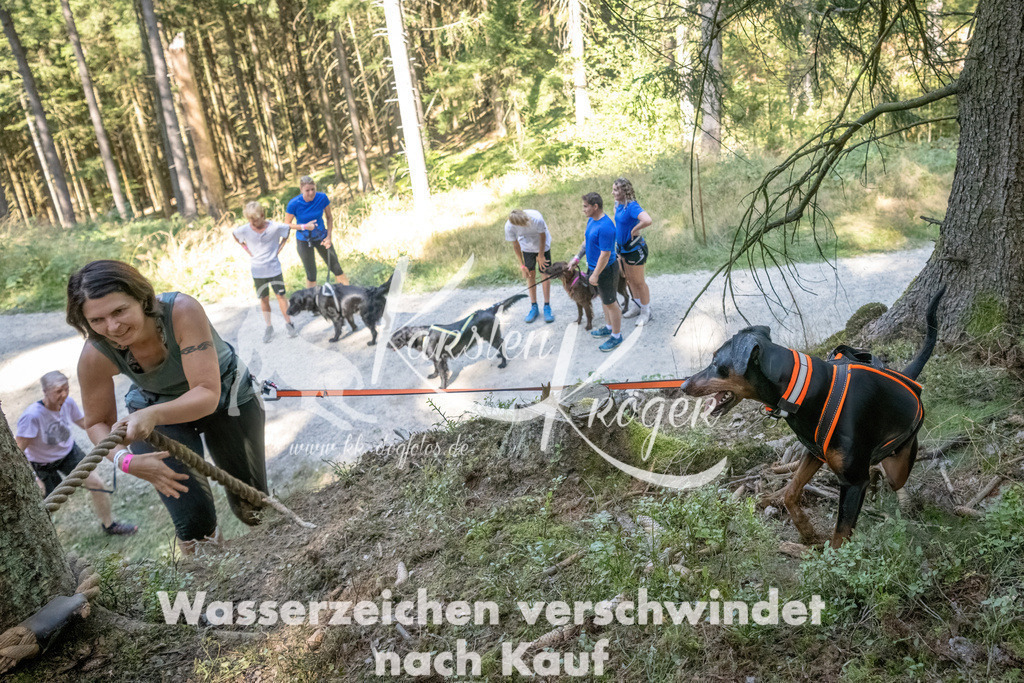 1215_ZZ93619 | kk-dogfotos