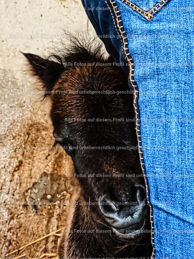 PXL_20210530_103833314-01 | krollfotografie - Realisiert mit Pictrs.com