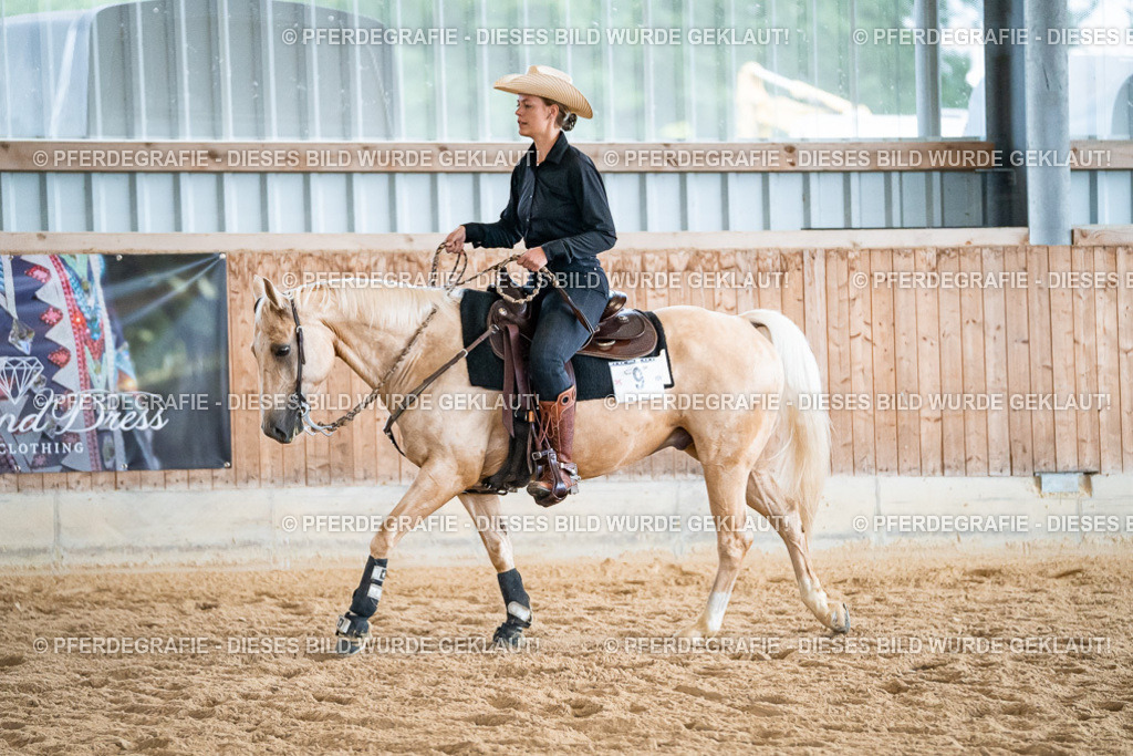 DSC02986 | Pferdegrafie