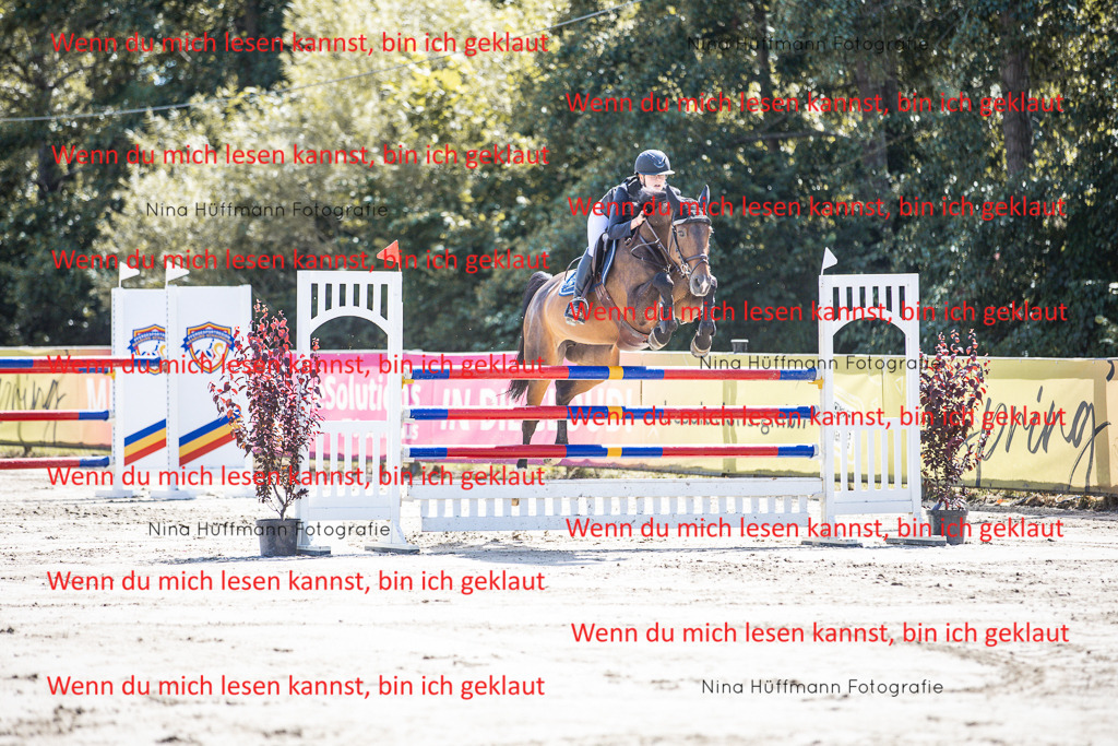 BK1A6602 | Turnierbilder Turnierfotos Nina Hüffmann Turnierfotografie Pferdefotografie Tierzeichnung Haustierzeichnung Pferdezeichnung Hundezeichnung Videograf  - Realisiert mit Pictrs.com
