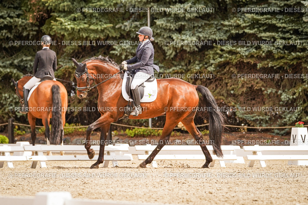 DSC01692 | Pferdegrafie