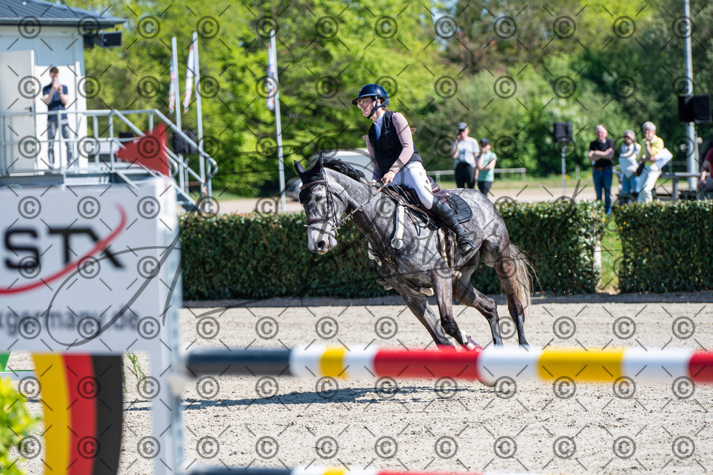 KPT_1047 | andre_photographic