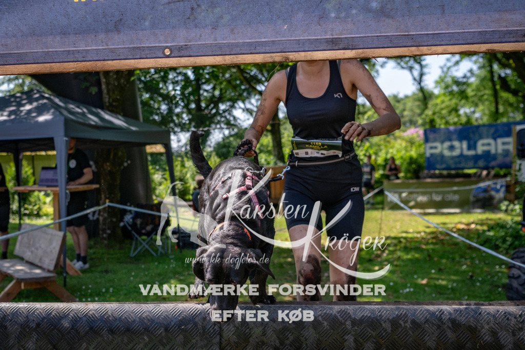 1257_ZZ90373 | kk-dogfotos