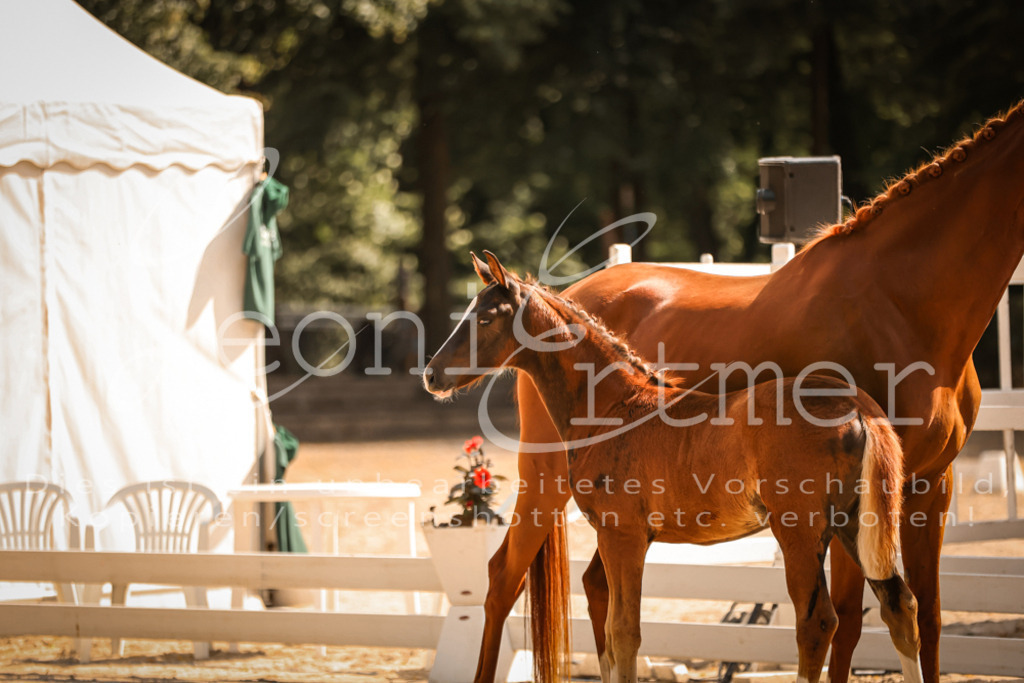 09.DoWBD00052 | Leoni Ertmer Photography - Realisiert mit Pictrs.com