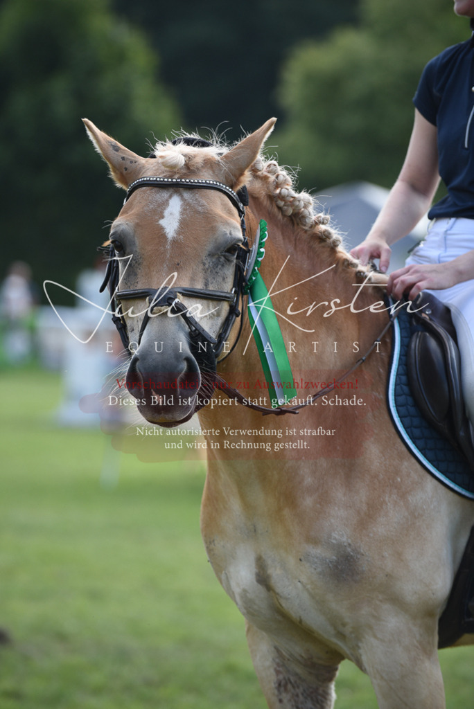 DSC_8990 | Pferde- und Turnierfotografie in Westsachsen. Pferdeportraits, Auftragszeichnungen und intuitive Kunst.