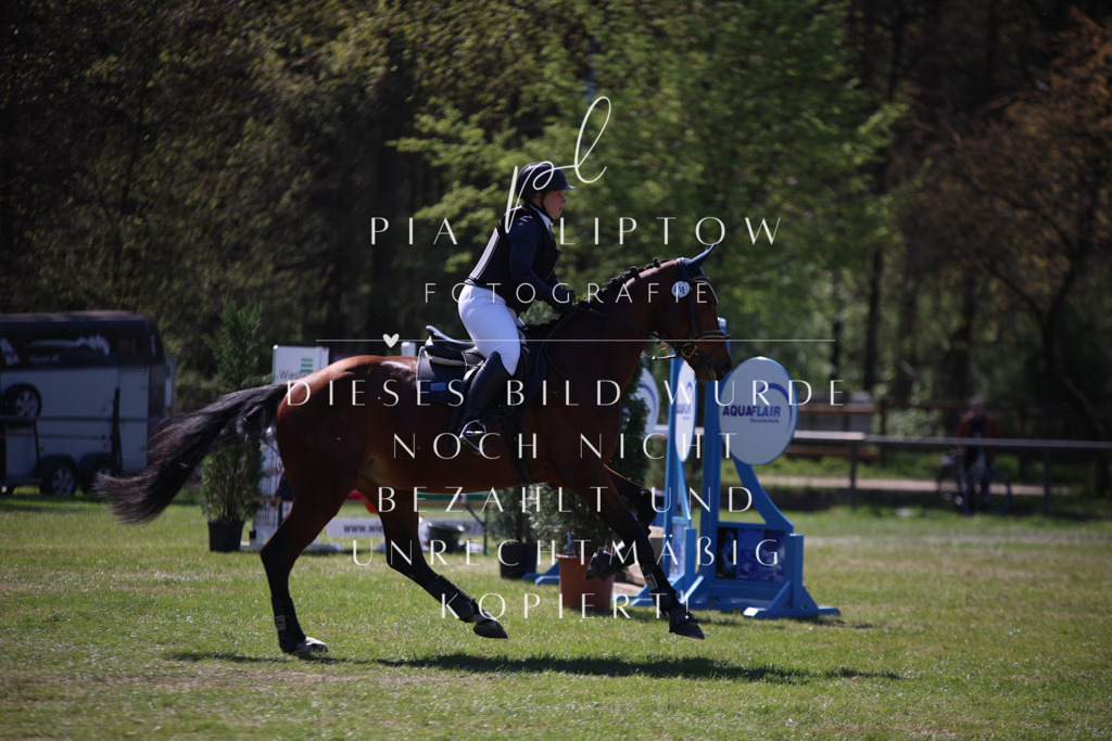 IMGT8822 | pl-fotografie