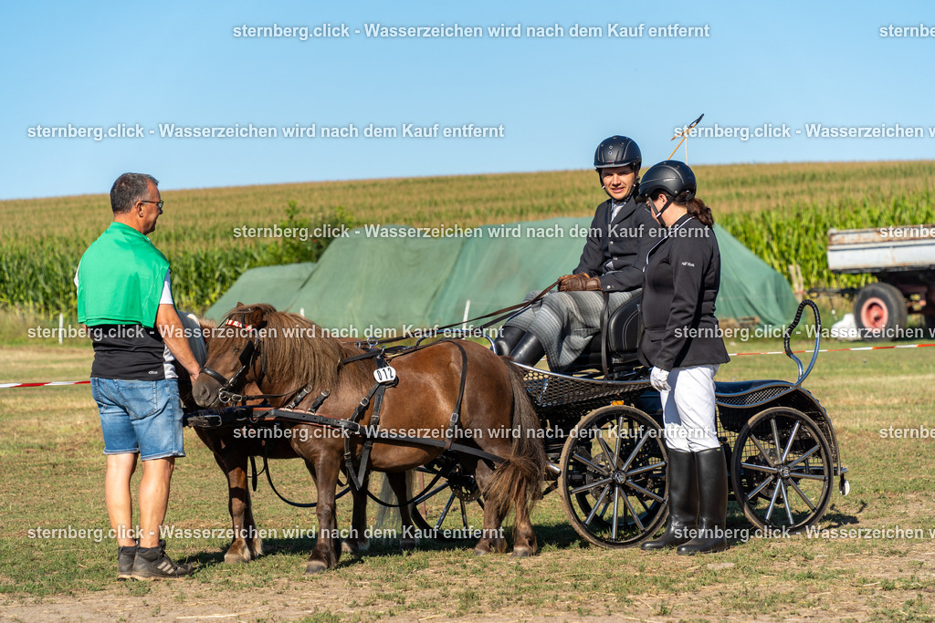 2026-08-08_07-48-39_WBO_Pulsnitz | sternberg.click - Realisiert mit Pictrs.com