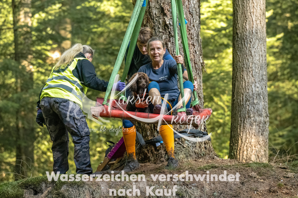 0951_ZZ92102-Bearbeitet | kk-dogfotos