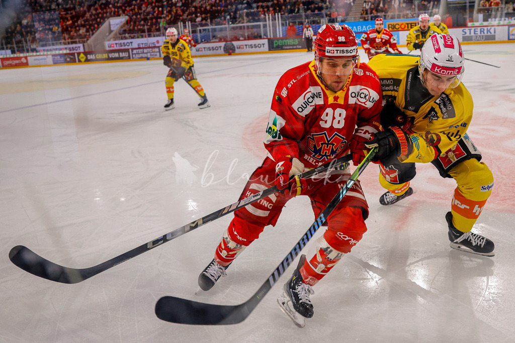 EHCB vs SCB 20260110_wb-3322 | Sportbilder, Sportfotograf, Hochzeits- und Eventfotografin, Flugshows, Portraits und Tiershooting, Aviation, Downhill, Nationalleague, Swissleague, International