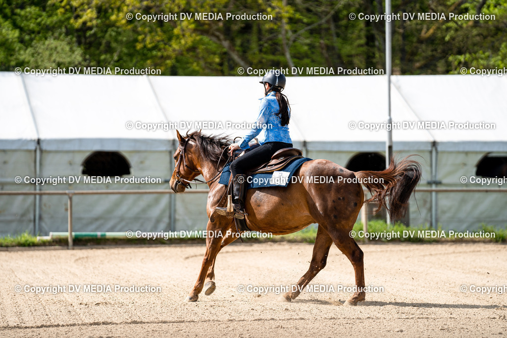 Heiligenwald Tag 2-932 | dv-media-shop - Realisiert mit Pictrs.com