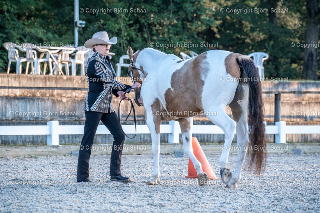 HOB07653 | BS-foto