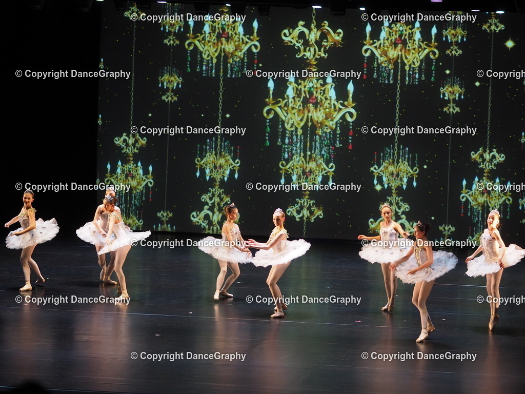 P7260438 | DanceGraphy - Realisiert mit Pictrs.com