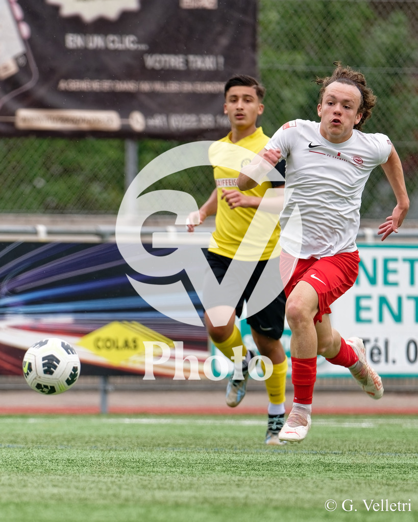 DSC_6649 | Velletri Photo