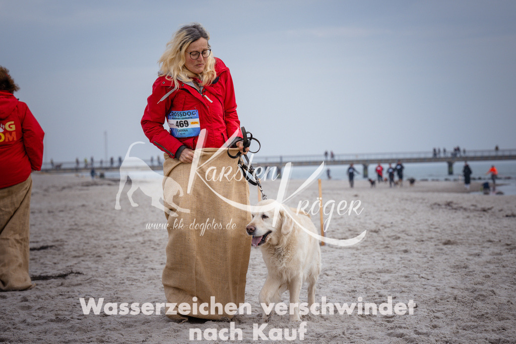 1155_ZZ91437 | kk-dogfotos