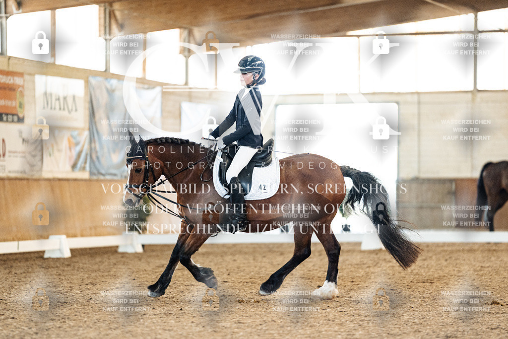 CK907909 | Turnierfotografie Pferdefotografie Trier Rheinland-Pfalz Pferdesport Reitsport Tierfotografie Sportfotografie Pferdevideo Pferdevideografie Equestrianvideography equestrianphotography  - Realisiert mit Pictrs.com