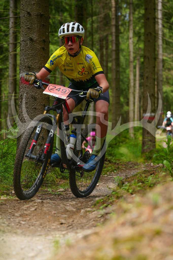 FC603750 | Fotogalerie der Treibjagd im Dunkelwald - Dein MTB Etappenrennen im Erzgebirge - Realisiert mit Pictrs.com