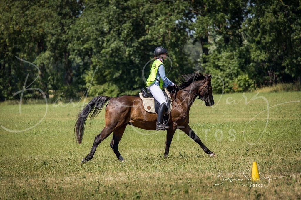 CJP_2026-06-26_65 | Stimmungsvolle Fotografie von Pferden, fotografische Begleitung von Veranstaltungen, Golfturnieren und Distanzritten - Realisiert mit Pictrs.com