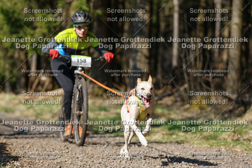 Dog Paparazzi - VCC26-126 | Dog Paparazzi Jeanette Grottendiek Fotografie & Videografie - Realisiert mit Pictrs.com