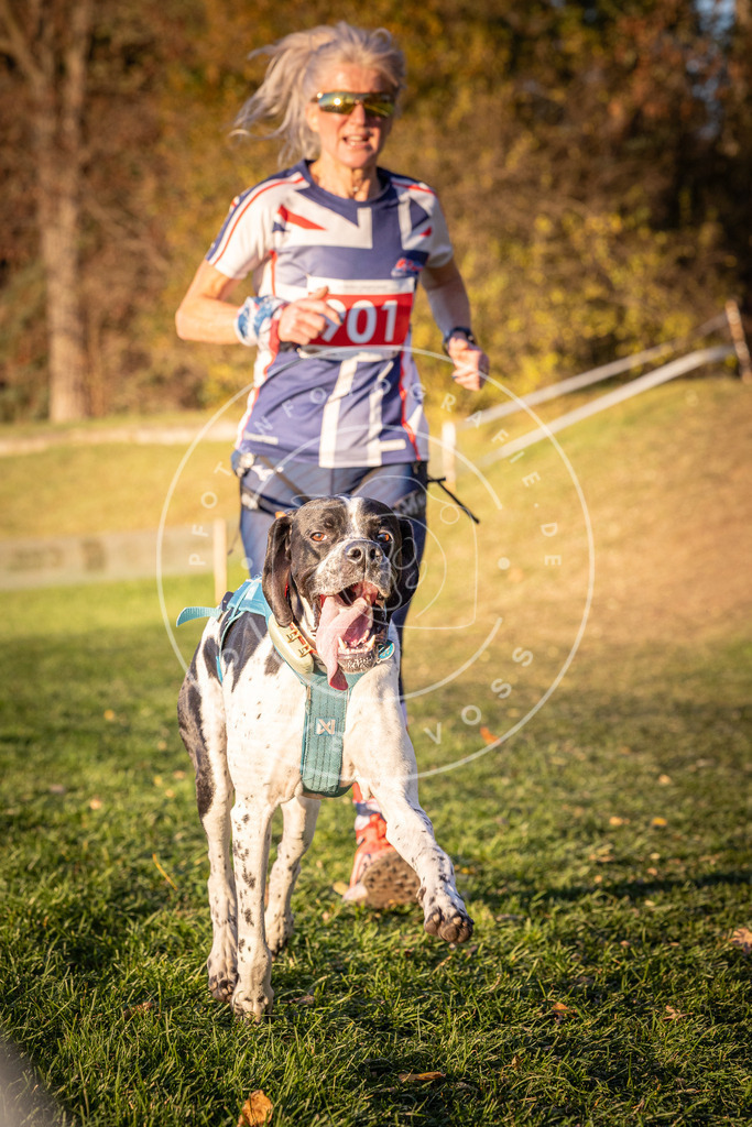 CaniXpix_0L8A1353 | Hundefotografie, Tierfotograf, Pfotenfotografie, Fotoshooting Hund, Hunde Portrait, Hundesport, Hundeportraits, Heideshooting, Hunde, Sportfotograf, Hundefotograf, Turnierhundsport, THS,  - Realisiert mit Pictrs.com