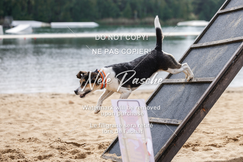nelerasche_BuHu2026_So1530-Ende_40 | nelerasche